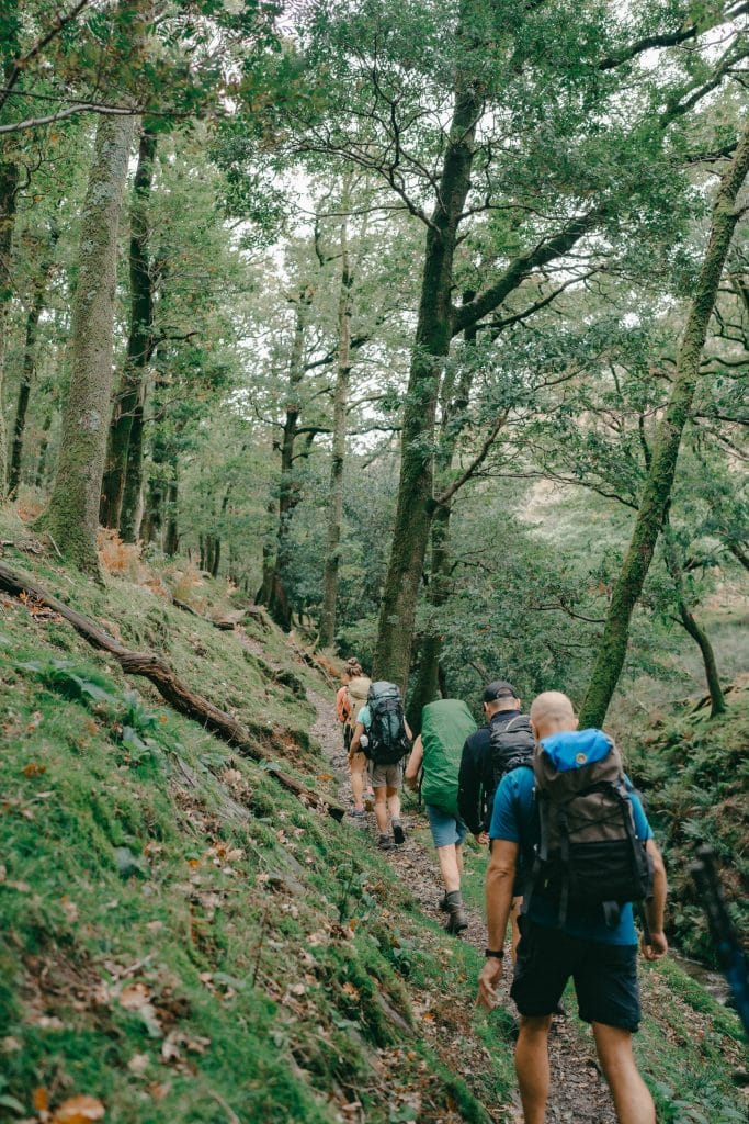 Group of walkers walking away from the camera, going uphill in a forest. Walkers have backpacks on.